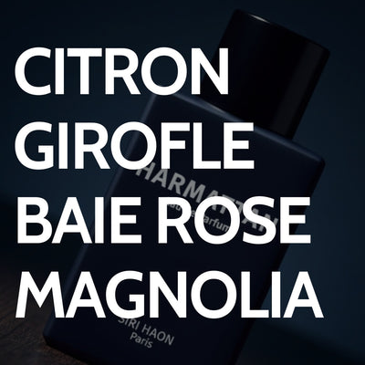 Pack Duo HARMATTAN et BISSAP